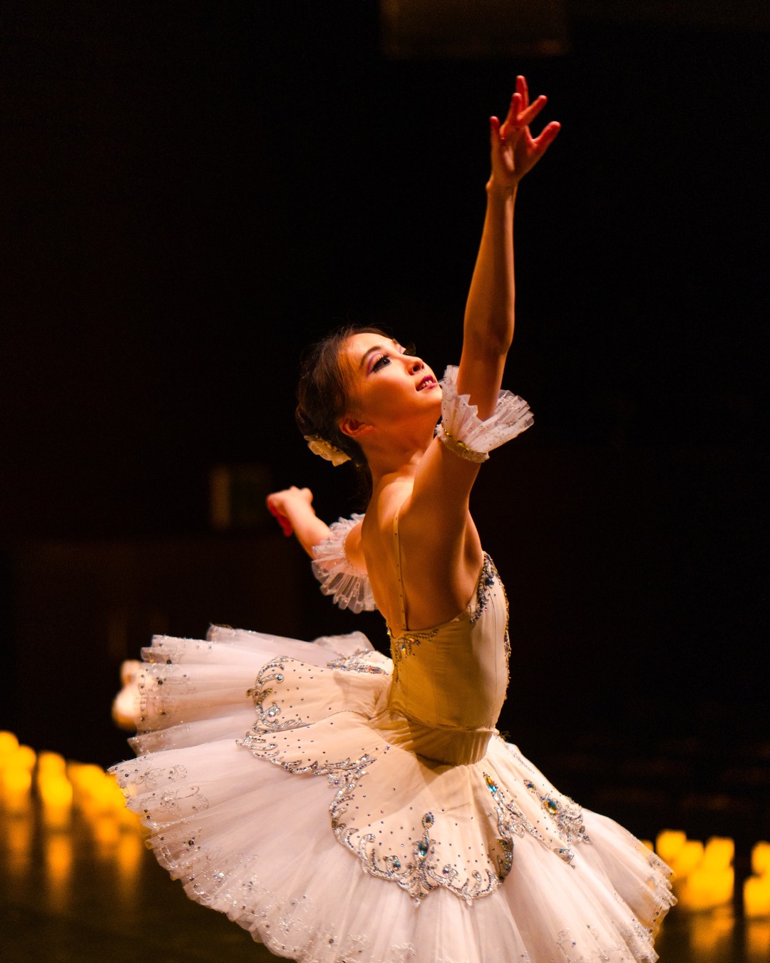 Candlelight Swan Lake 0