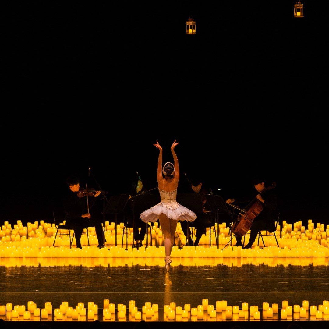 Candlelight Swan Lake 1